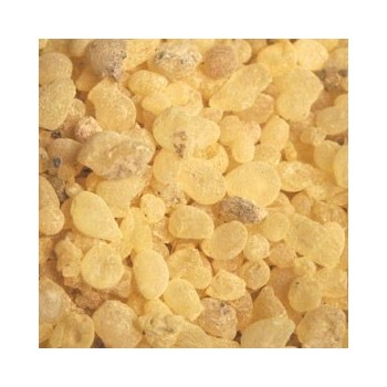 gomme mastic elect. tech.
