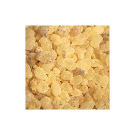 gomme mastic elect. tech.